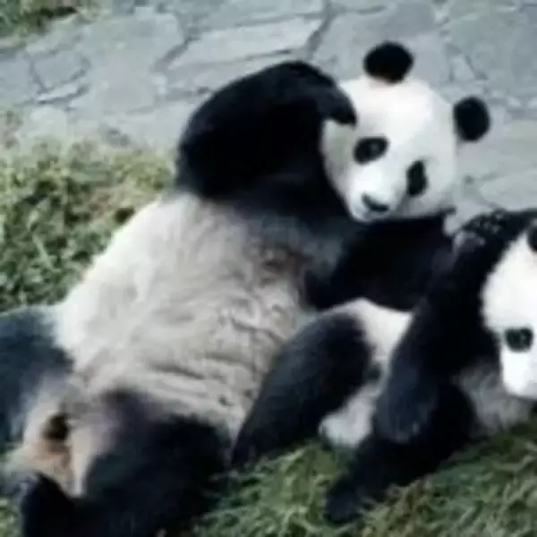 「『ほどなく、お別れです』浜辺美波×目黒蓮、愛する人との“お別れ”を描いたヒューマンドラマ」の画像