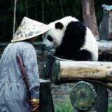 『ほどなく、お別れです』浜辺美波×目黒蓮、愛する人との“お別れ”を描いたヒューマンドラマ