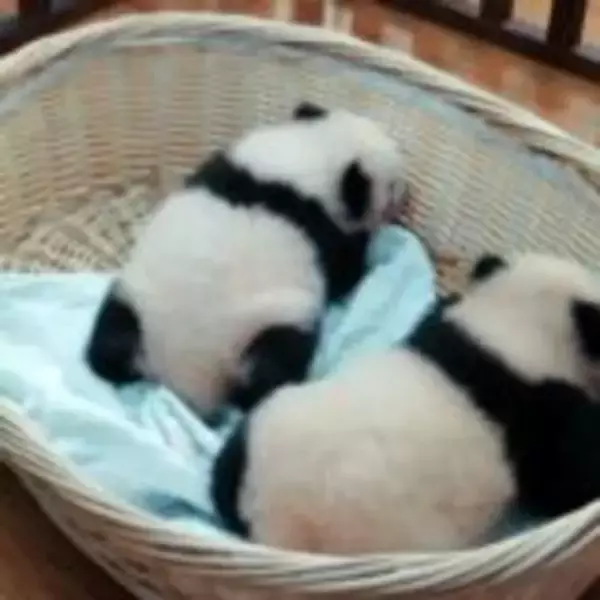 「『ほどなく、お別れです』浜辺美波×目黒蓮、愛する人との“お別れ”を描いたヒューマンドラマ」の画像