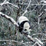 『ほどなく、お別れです』浜辺美波×目黒蓮、愛する人との“お別れ”を描いたヒューマンドラマ