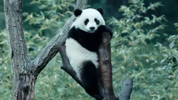 「『ほどなく、お別れです』浜辺美波×目黒蓮、愛する人との“お別れ”を描いたヒューマンドラマ」の画像