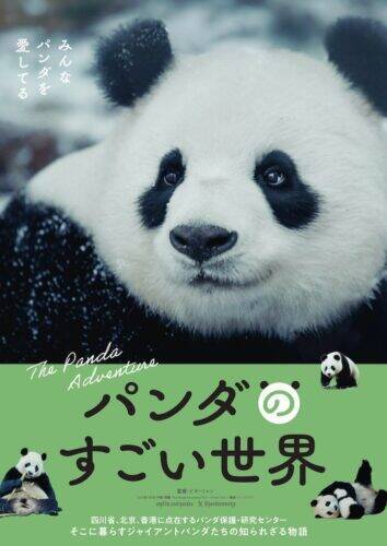 『ほどなく、お別れです』浜辺美波×目黒蓮、愛する人との“お別れ”を描いたヒューマンドラマ