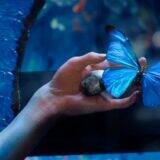 「『人間標本』西島秀俊×市川染五郎、湊かなえの傑作をドラマ化」の画像13