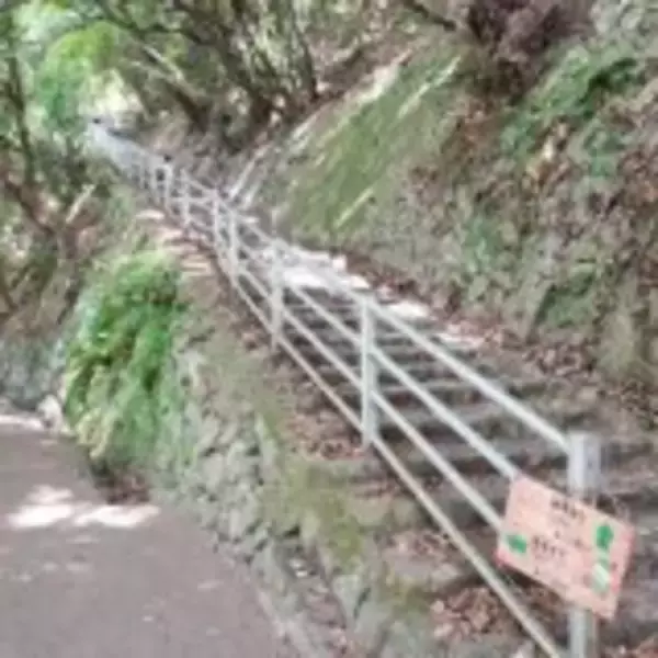 「開業50周年！　新神戸駅の駅弁を美味しさ50％マシマシでいただく方法」の画像