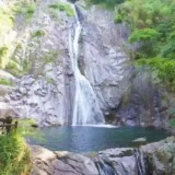 「開業50周年！　新神戸駅の駅弁を美味しさ50％マシマシでいただく方法」の画像