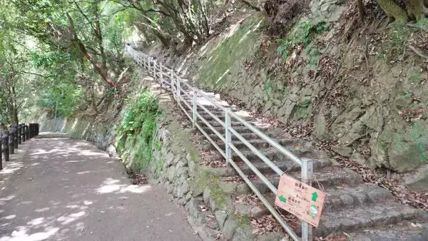 「開業50周年！　新神戸駅の駅弁を美味しさ50％マシマシでいただく方法」の画像