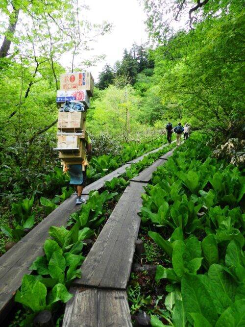 歩いて荷を運ぶ男たち　尾瀬の山小屋を支える「歩荷」の世界
