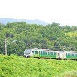 「肉も野菜も満喫！　信州・塩尻の元気いっぱい焼肉駅弁」の画像12