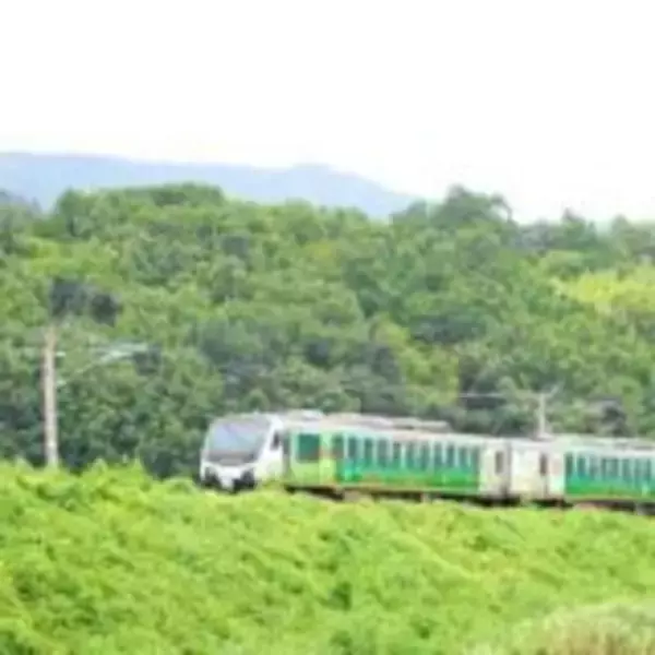 「肉も野菜も満喫！　信州・塩尻の元気いっぱい焼肉駅弁」の画像