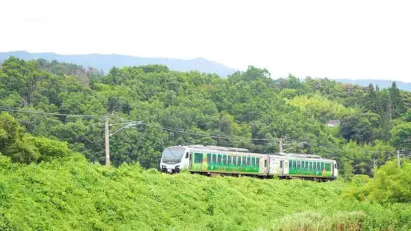 「肉も野菜も満喫！　信州・塩尻の元気いっぱい焼肉駅弁」の画像