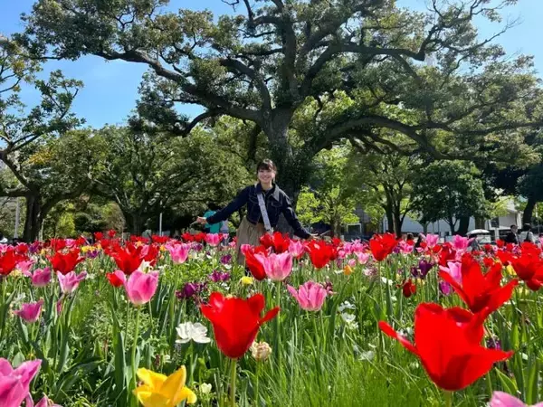 「GREEN×EXPO 2027まであと1年！“花博”の魅力届けたい！」の画像