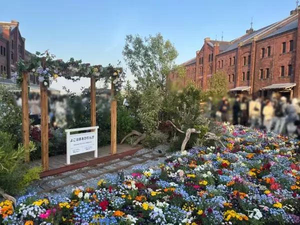 「GREEN×EXPO 2027まであと1年！“花博”の魅力届けたい！」の画像