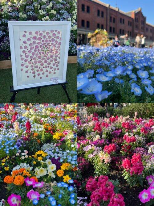 GREEN×EXPO 2027まであと1年！“花博”の魅力届けたい！