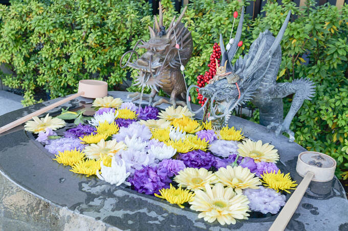 黒猫が導く必勝の神社！？　猫神社とも呼ばれる妙義神社にてランパンプスが合格祈願！