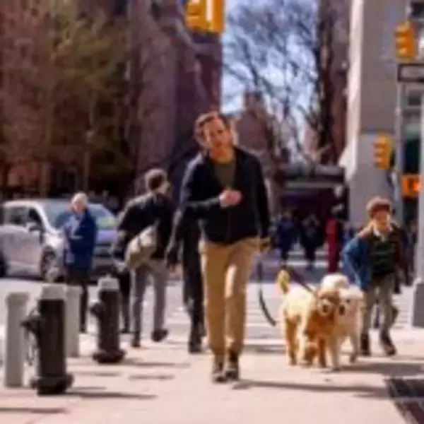 「『人はなぜラブレターを書くのか』綾瀬はるか主演、奇跡のような実話をもとに作られた感動作」の画像