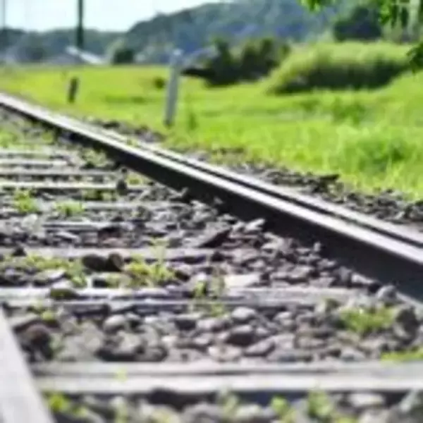 「新潟の名物駅弁「えび千両ちらし」、ネタが「隠れた」理由とは？」の画像