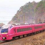 「新潟の名物駅弁「えび千両ちらし」、ネタが「隠れた」理由とは？」の画像18