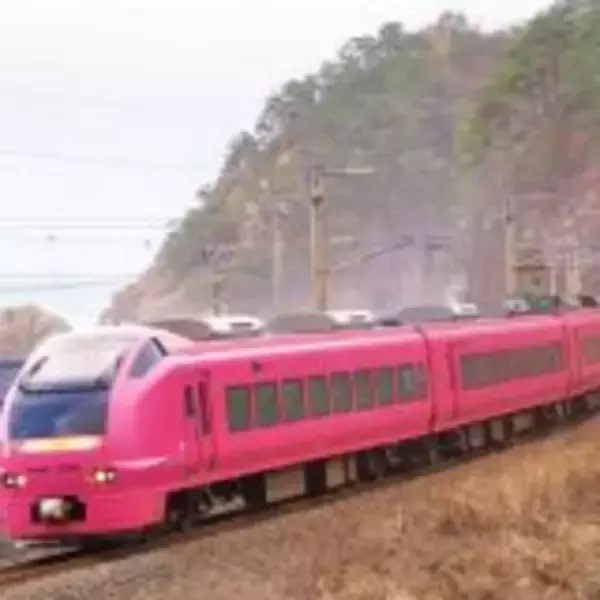 「新潟の名物駅弁「えび千両ちらし」、ネタが「隠れた」理由とは？」の画像