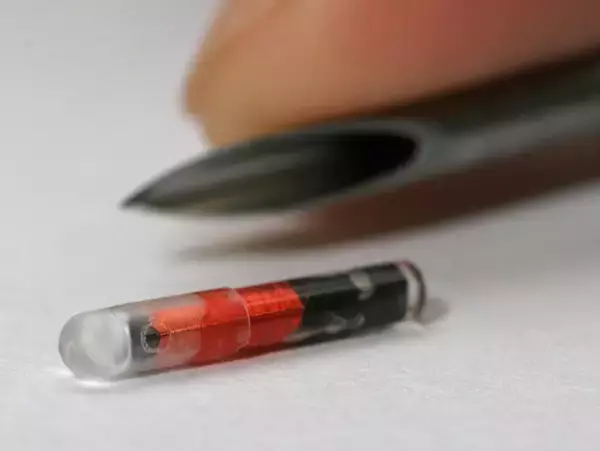 義務化開始のマイクロチップ装着「捨て犬・捨て猫抑止の効果あり」佐々木俊尚が自身の体験を交え語る