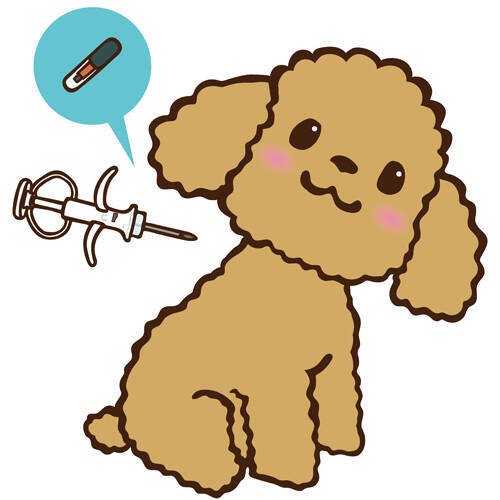 義務化開始のマイクロチップ装着「捨て犬・捨て猫抑止の効果あり」佐々木俊尚が自身の体験を交え語る