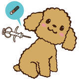 「義務化開始のマイクロチップ装着「捨て犬・捨て猫抑止の効果あり」佐々木俊尚が自身の体験を交え語る」の画像2