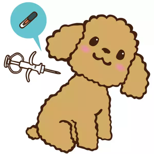 「義務化開始のマイクロチップ装着「捨て犬・捨て猫抑止の効果あり」佐々木俊尚が自身の体験を交え語る」の画像