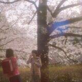 「『秒速5センチメートル』松村北斗×高畑充希、新海誠監督の不朽の名作を実写映画化」の画像12