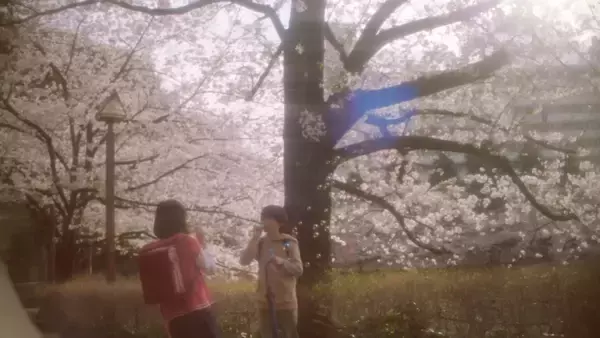 「『秒速5センチメートル』松村北斗×高畑充希、新海誠監督の不朽の名作を実写映画化」の画像