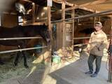 「引退した競走馬が過ごす「養老牧場」　人と馬が支え合いながら生活する牧場の形」の画像2