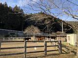 「引退した競走馬が過ごす「養老牧場」　人と馬が支え合いながら生活する牧場の形」の画像3