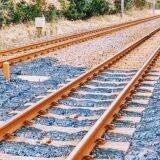 北陸新幹線開業から7年！　“かがやき”増す、金沢の名物駅弁とは？　～金沢駅弁・大友楼