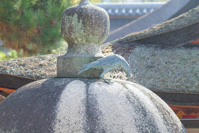 カラスが導いた神の島？！　平清盛公も信仰した世界遺産、嚴島神社にてランパンプスが合格祈願！