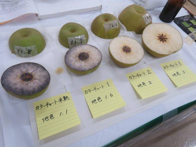 茨城県産梨、統一目揃え会を開催　出来栄えは良好