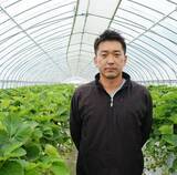 「北海道で栽培される夏いちご　インストラクターから苺農家に転身した男性の物語」の画像1