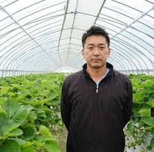 北海道で栽培される夏いちご　インストラクターから苺農家に転身した男性の物語
