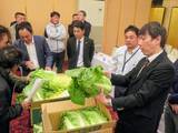 「茨城で「秋冬白菜目揃え会」開催　今年の白菜は良い出来」の画像2