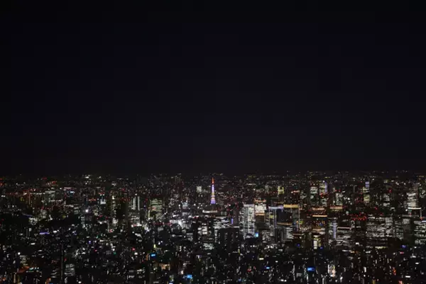 辛坊治郎が“予言”「電力危機、この夏より冬が深刻に」　その背景とは