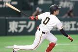 「巨人・増田大輝、今季初スタメンで猛打賞！佐々木氏「良い仕事をしていますよね」」の画像1