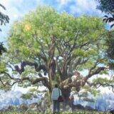 『クスノキの番人』高橋文哉×天海祐希、東野圭吾原作の“祈り”の物語