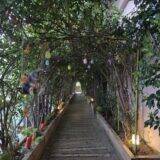 「空と海と森――春の静岡の新たな魅力を発見する、「リゾナーレ熱海」での夢体験」の画像34