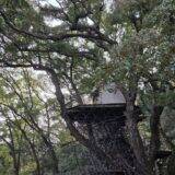 「空と海と森――春の静岡の新たな魅力を発見する、「リゾナーレ熱海」での夢体験」の画像35