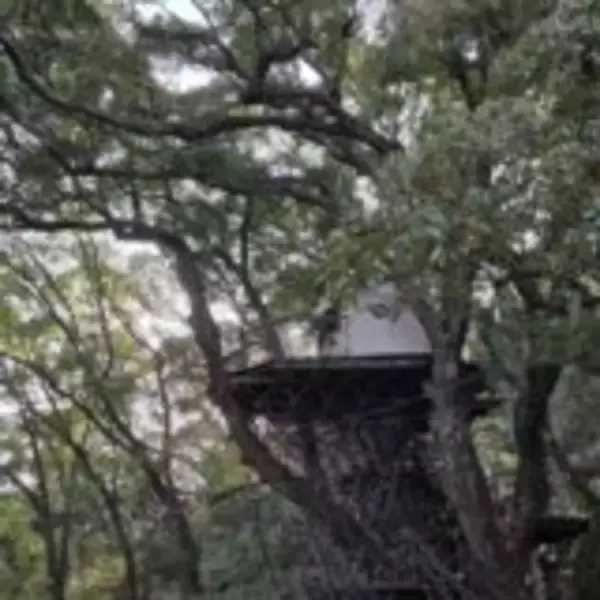 「空と海と森――春の静岡の新たな魅力を発見する、「リゾナーレ熱海」での夢体験」の画像