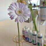 「空と海と森――春の静岡の新たな魅力を発見する、「リゾナーレ熱海」での夢体験」の画像60