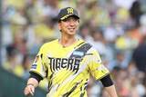 「阪神ファンの笹木かおりさん「体力的な部分とローテーションをうまくやって欲しい」終盤の過密日程と暑さを心配」の画像1