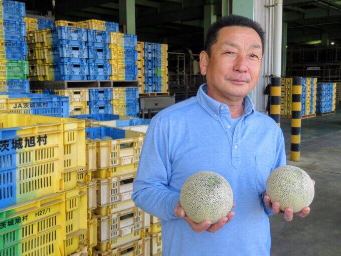 日本一のメロン産地・鉾田市で春メロンの出荷はじまる