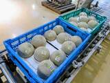 「日本一のメロン産地・鉾田市で春メロンの出荷はじまる」の画像6
