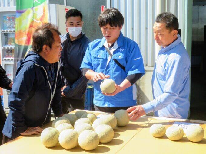 日本一のメロン産地・鉾田市で春メロンの出荷はじまる