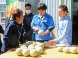 「日本一のメロン産地・鉾田市で春メロンの出荷はじまる」の画像7