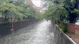 「新しい防災気象情報　台風6号への対応は？【みんなの防災】」の画像2