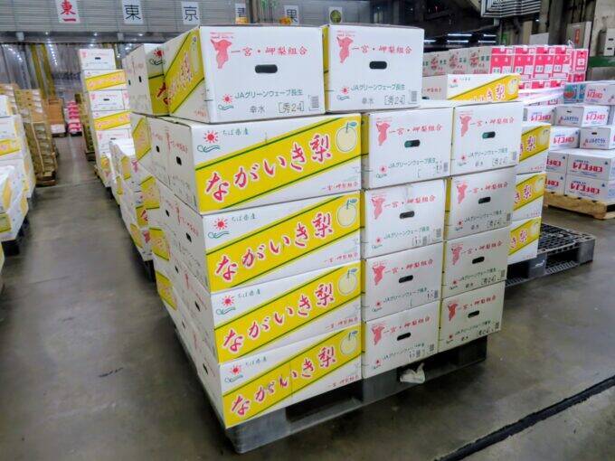 東京・大田市場で千葉県産梨「幸水」初競り